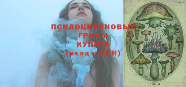 дурь Армянск