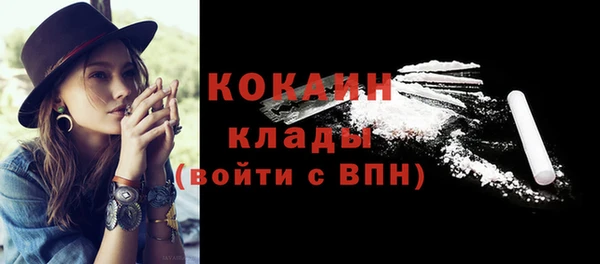 ешки Арсеньев