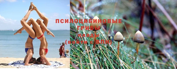 ешки Арсеньев