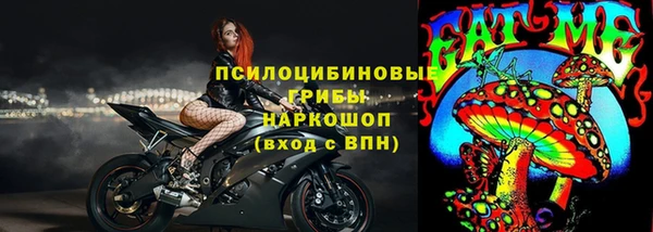 ешки Арсеньев