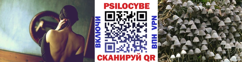 купить наркоту  Спас-Деменск  Галлюциногенные грибы мухоморы 
